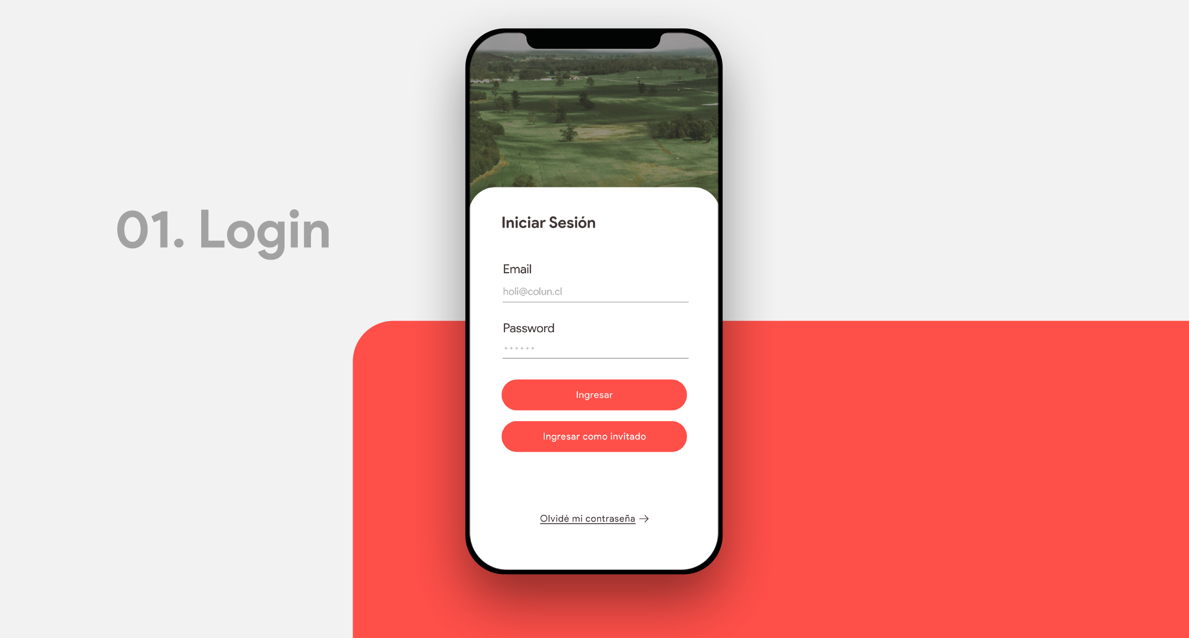 HelloMero® — Design & Art Direction