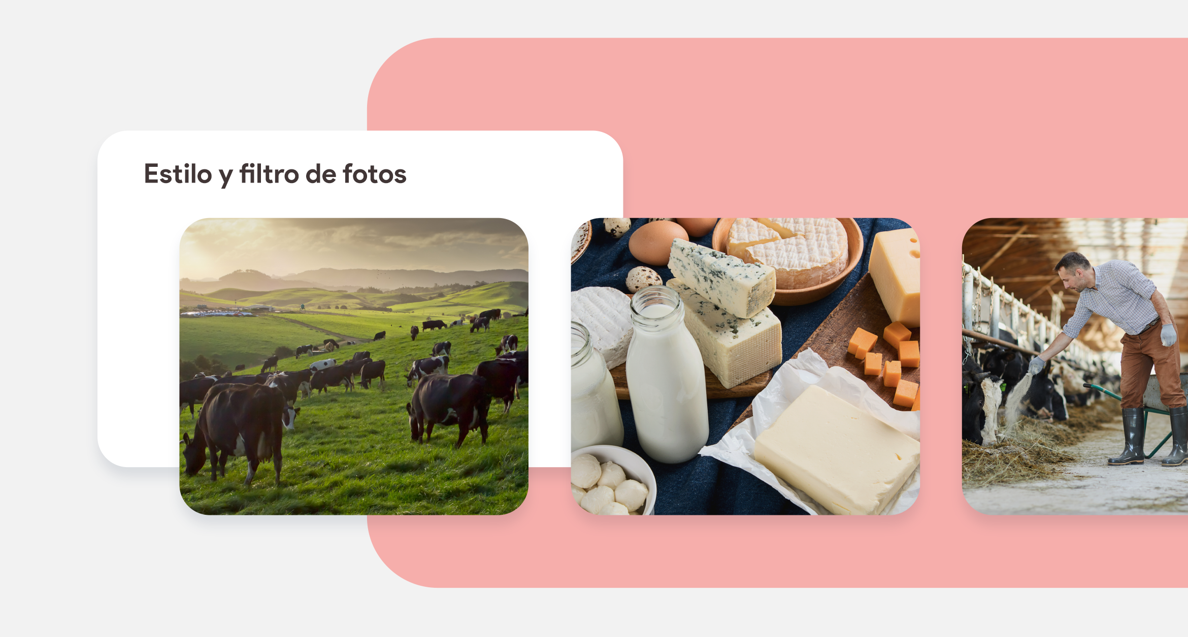 HelloMero® — Design & Art Direction