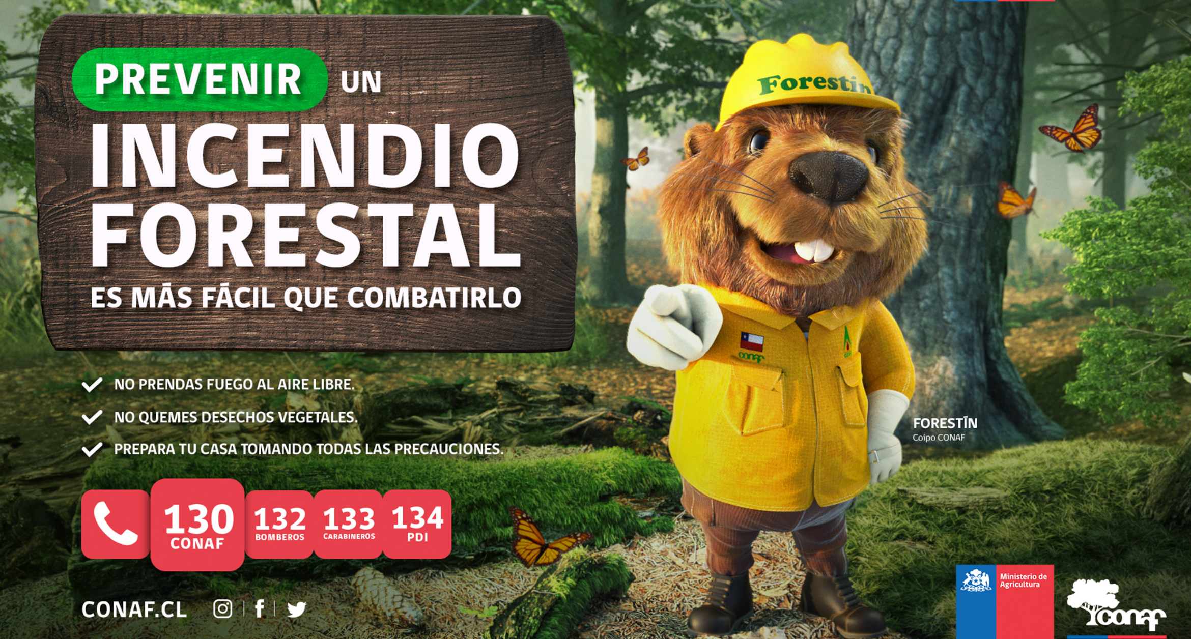 HelloMero® — Design & Art Direction